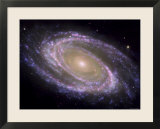 The Spiral Galaxy Known as Messier 81