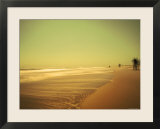 Golden Beach Landscape