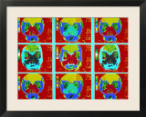 Coronal Sections MRI Scans of the Head and Sinuses