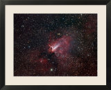 Omega Nebula