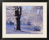 Winter Scene Beside the River Tay  Aberfeldy  Perthshire  Scotaland  UK