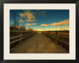 Marsh Path