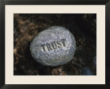 Stone with Word Trust in Water of Tranquil Stream