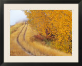 Two Track Road Runs through Lee Metcalf National Wildlife Refuge