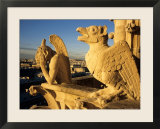 Chimeras of Notre Dame Cathedral  Paris  France