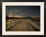 Marsh Path