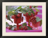 Small Bouquets of Raspberries and Redcurrants