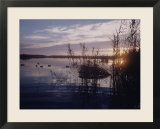 Texas Duck Hunting