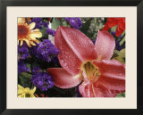 Flowers Sprinkled with Dew