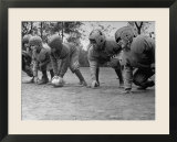 Kids Lining up Like Line Men Ready to Play