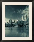 Central Park  New York City  USA