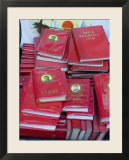 Little Red Books for Sale at the Great Flea Market  Pan Jia Yuan  Beijing  China