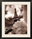 Eiffel Tower  Paris  France