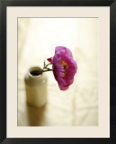 Pink Poppy in Tiny Vase
