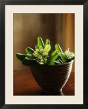 Petite Blossoms I