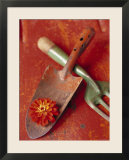 Trowel and Blossom