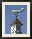 A Sperm Whale Weather Vane on a Roof Top