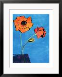 Poppy Lace