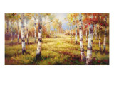 Meadow Clearing