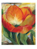 Summer Tulips I