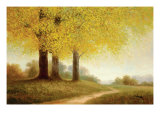 Meadow Path
