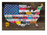 Fifty State Flag