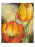 Summer Tulips II
