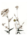 Watermark Wildflowers I