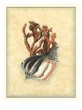 Printed Nature's Treasure II