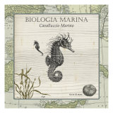 Biologia Marina III