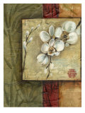 Asian Orchids I