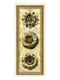 Printed Classic Rosette Panel II