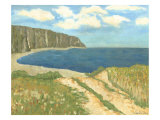 Western Vista VII