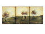 Autumnal Meadow II