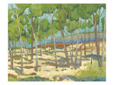 Western Vista I