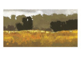 Amber Waves II