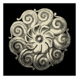 Black and Tan Rosette I