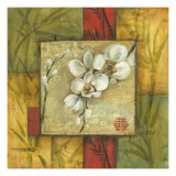 Asian Orchid Montage I