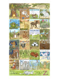 Alphabet Poster