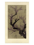 Plum Blossom Tree
