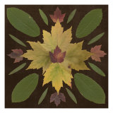 Kaleidoscope Leaves IV