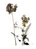 Watermark Wildflowers V