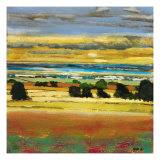 Across The Fields I