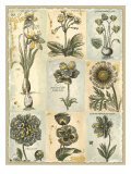 Botanical Patchwork I