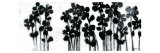 Black Flowers on White I