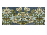 Honeysuckle Nouveau I