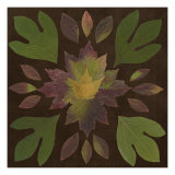 Kaleidoscope Leaves I
