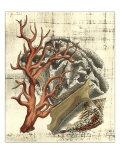 Neptune's Composition II