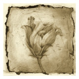 Floral Impression VIII