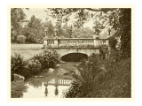 Sepia Garden View V